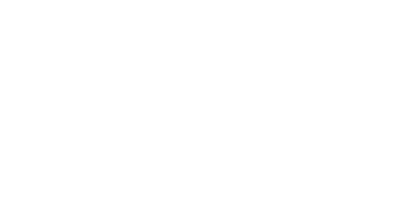 Z AI logo